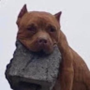 Meet your Posher, Mia